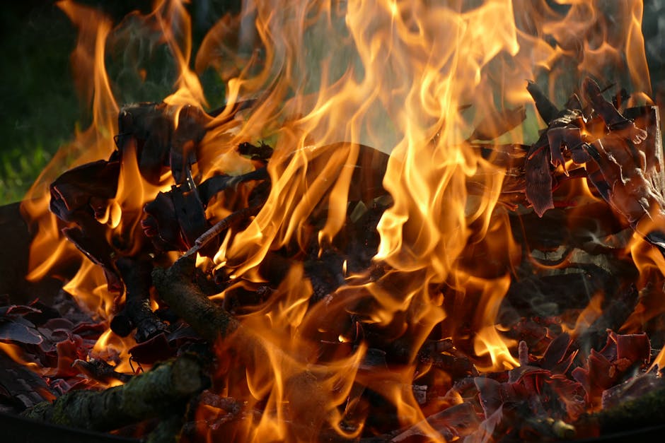 Teori Lima Elemen (Wu Xing) dalam TCM: Panduan Lengkap